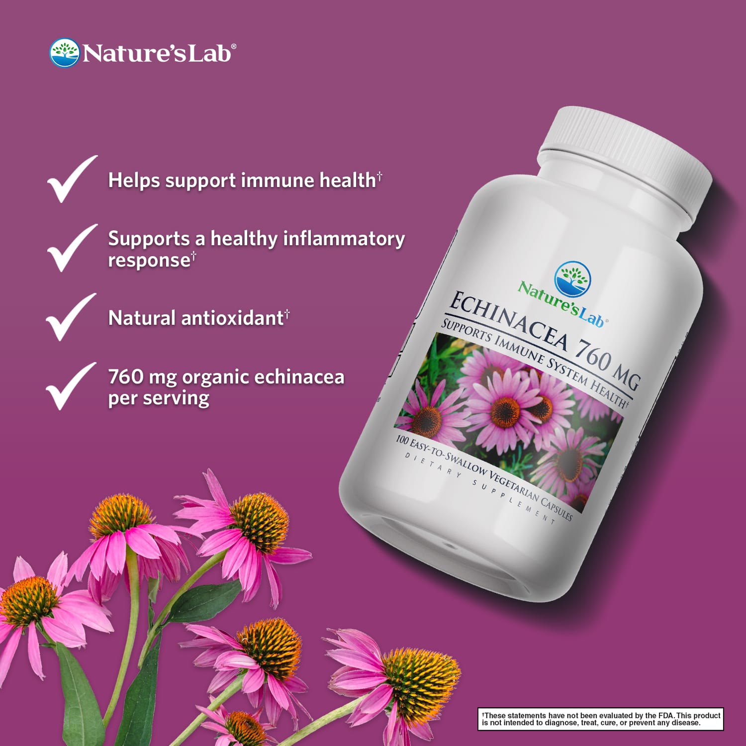 Echinacea 760 mg - 100 Capsules