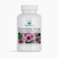 Echinacea 760 mg - 100 Capsules