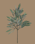 WONDERWALL ‘Maison Élégance’ 23" Eucalyptus Spray