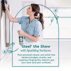 Stainless Steel Surface Cleaner - WONDERWALL