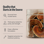 Turkey Tail Mushroom Extract Powder