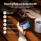 Turkey Tail Mushroom Extract Powder