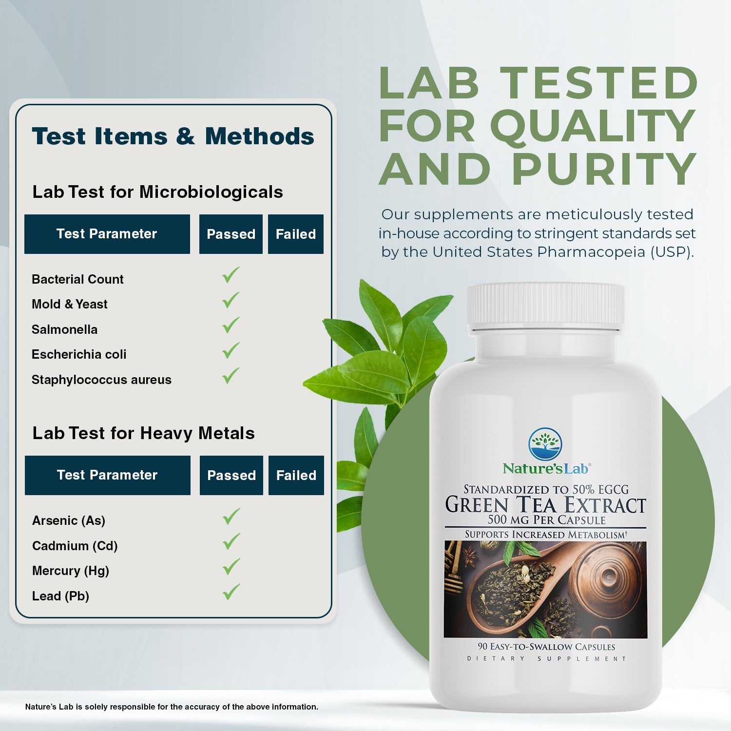 Green Tea Extract 500 mg - 90 Capsules