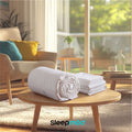 Cooling Comforter Set – Temperature - Regulating Eucalyptus Silk Comforter & Pillow Shams