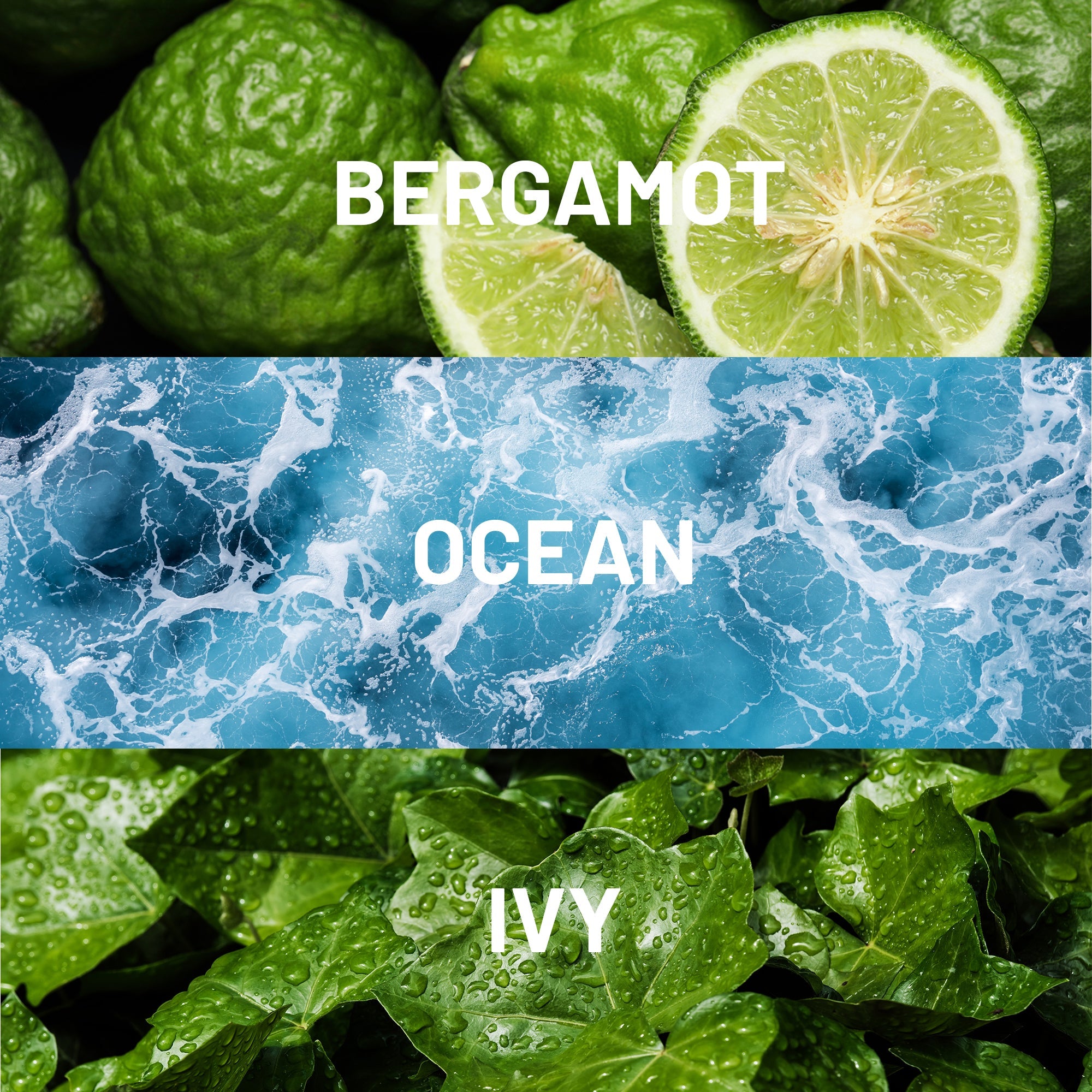 Island Life Luxury Diffuser Oil