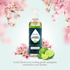 Laundry Detergent (Concentrated, Sulfate-Free) - WONDERWALL