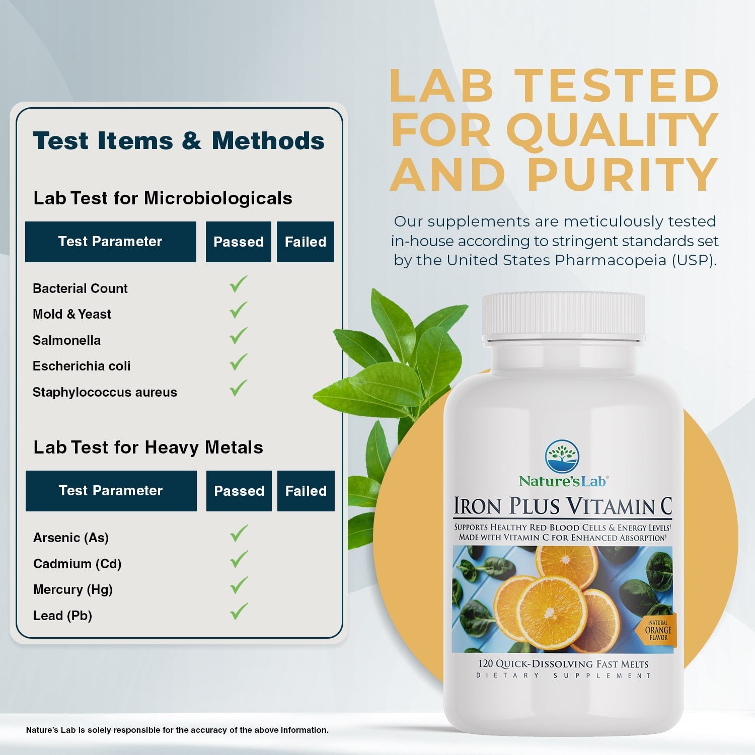 Iron Plus Vitamin C Fast Melt Tablets - 120 Tablets