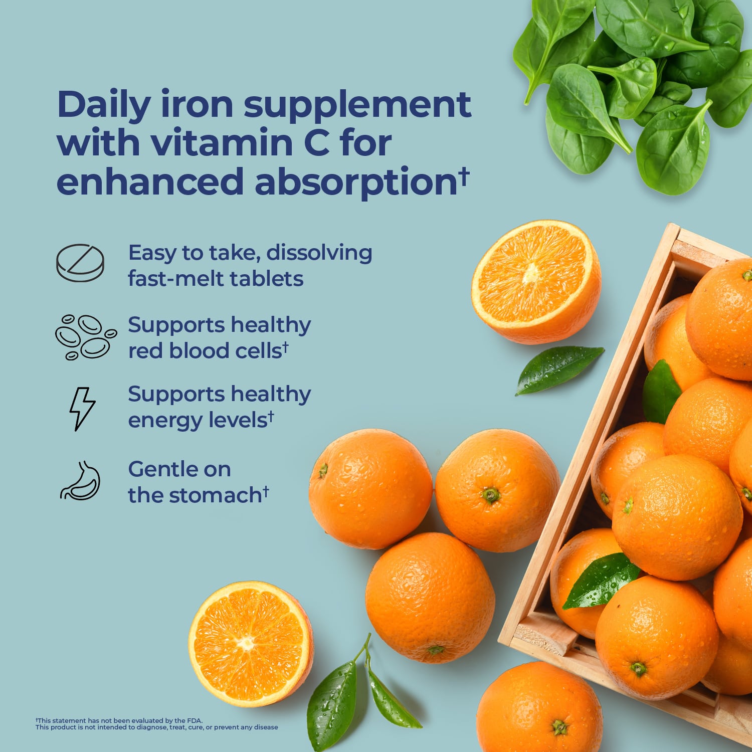 Iron Plus Vitamin C Fast Melt Tablets - 120 Tablets