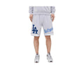 Pro Standard Los Angeles Dodgers Pro Team Men Shorts Grey