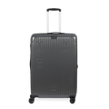 Check-In Luggage
