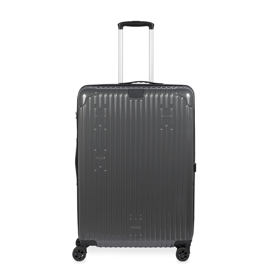 Check-In Luggage