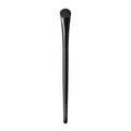 All Over Eye Color Brush