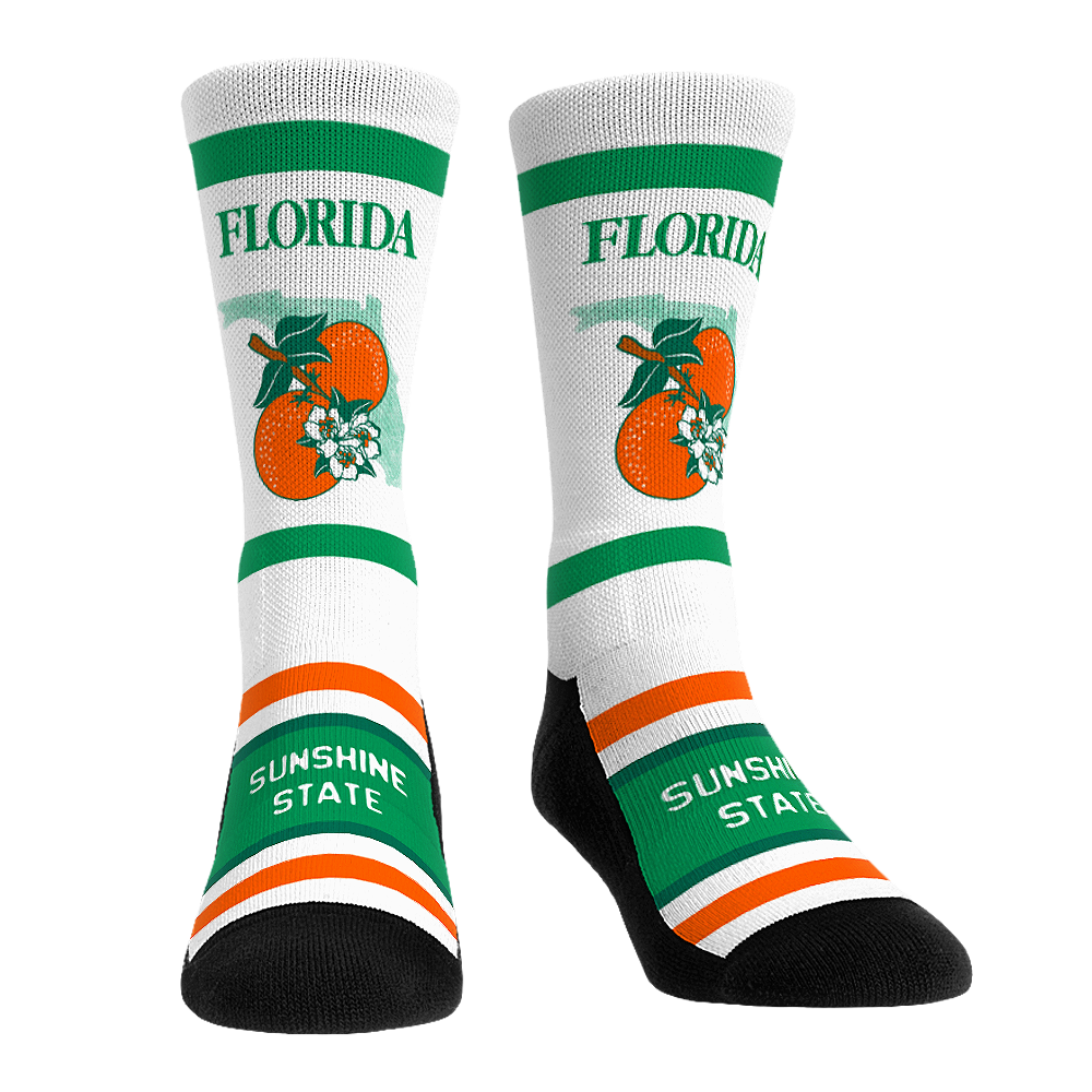 Florida - License Plate Crew Socks