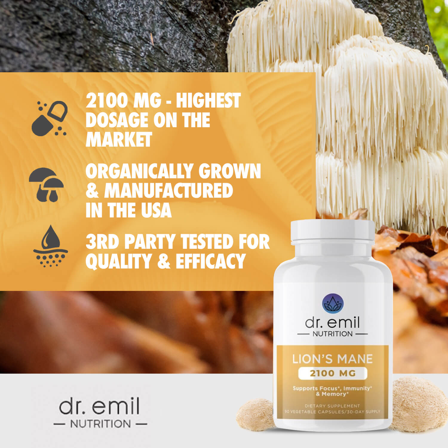 Lions Mane Mushroom Capsules by Dr Emil Nutrition
