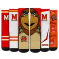 Maryland Terrapins - Super Fan Crew Socks 5-Pack
