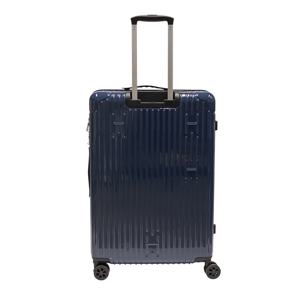 Check-In Luggage