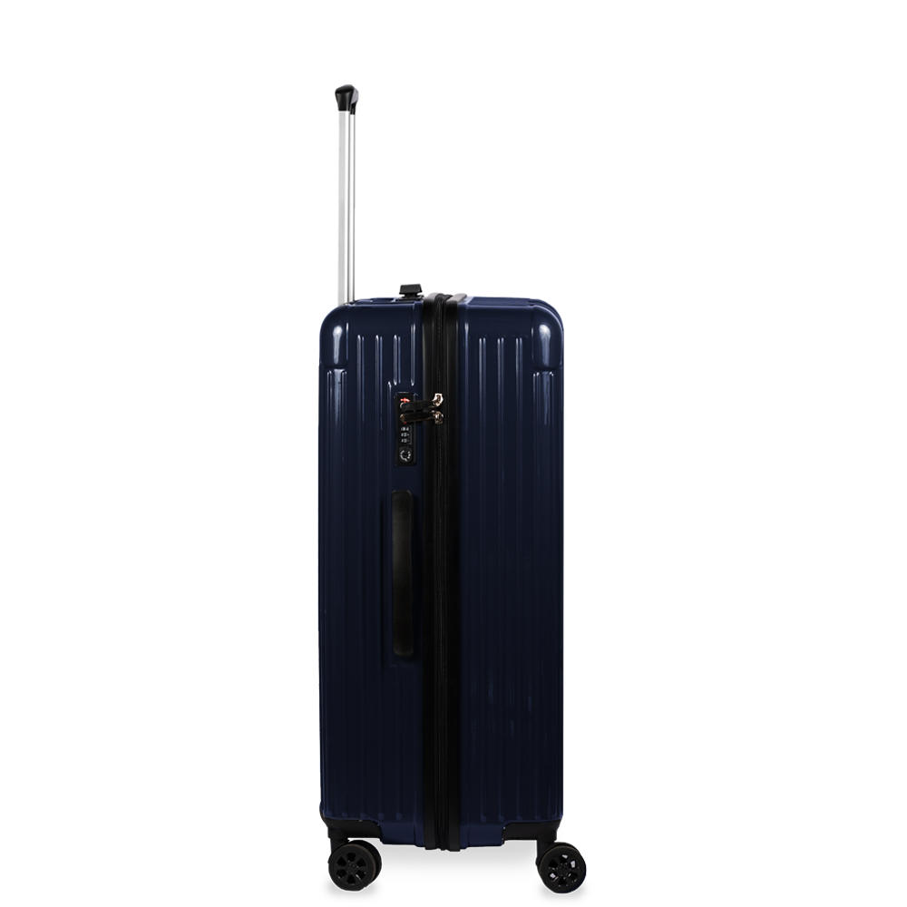 Check-In Luggage