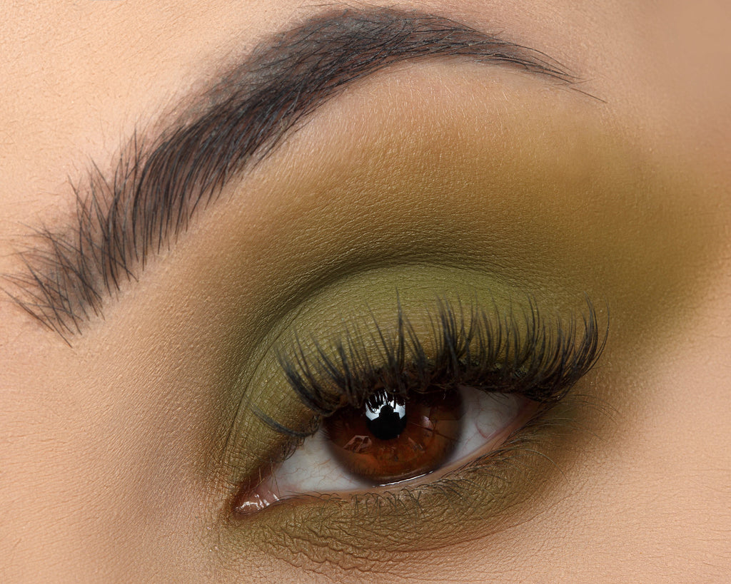 Signature Palette - Empowered