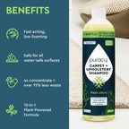 Carpet & Upholstery Shampoo - WONDERWALL