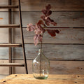 WONDERWALL ‘Pop Festif’ Autumn Fig Leaf Stem
