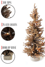 WONDERWALL ‘Noël DuBois’ 2-Foot Pre-Lit Brown Tabletop Christmas Tree with Burlap Base