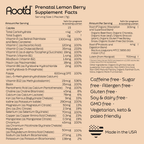 Essential Prenatal Nutrition + Electrolytes - WONDERWALL