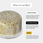Filtered Showerhead
