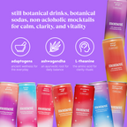 bestsellers (sparkling & still mocktail | 36 pack)