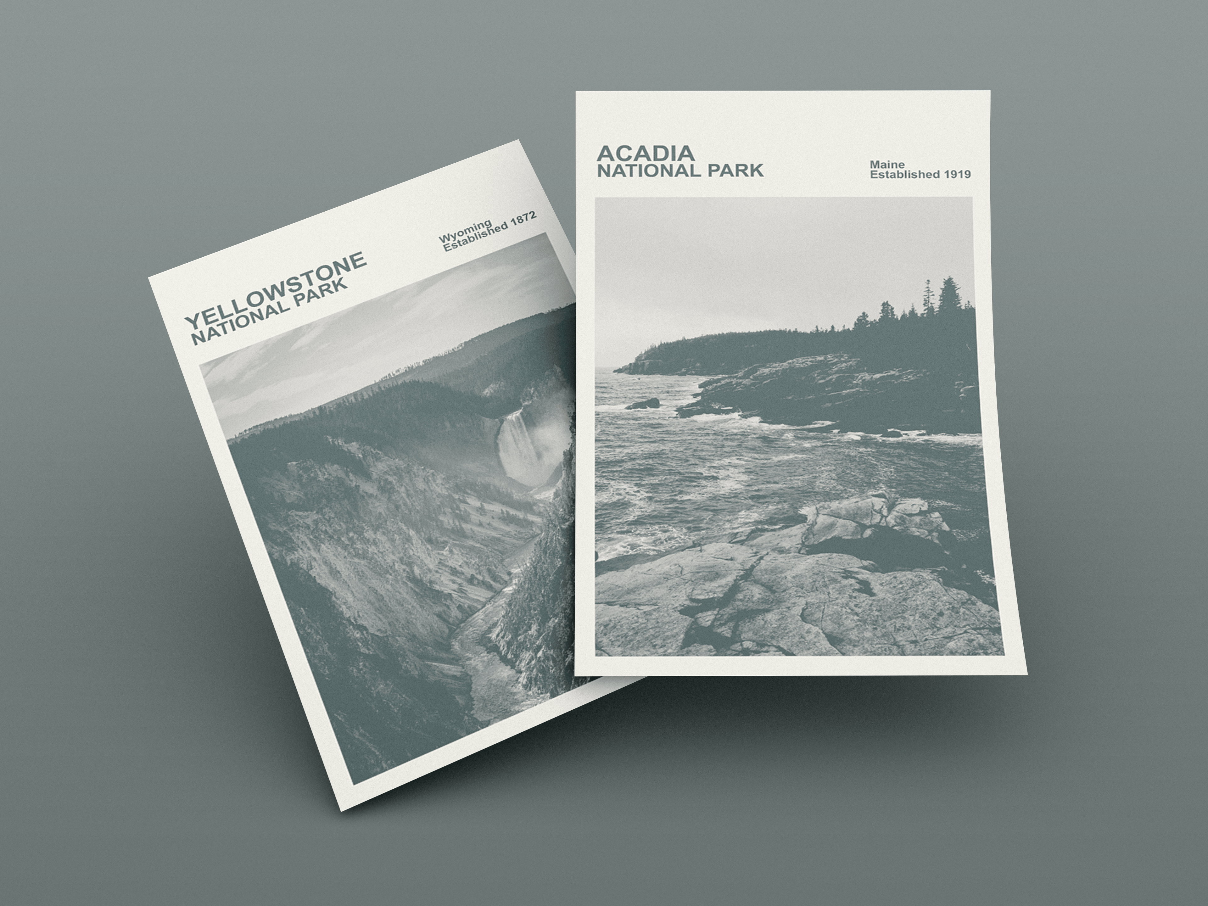 Acadia National Park Print, Monochrome