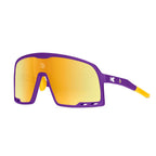Minnesota Vikings Campeones
