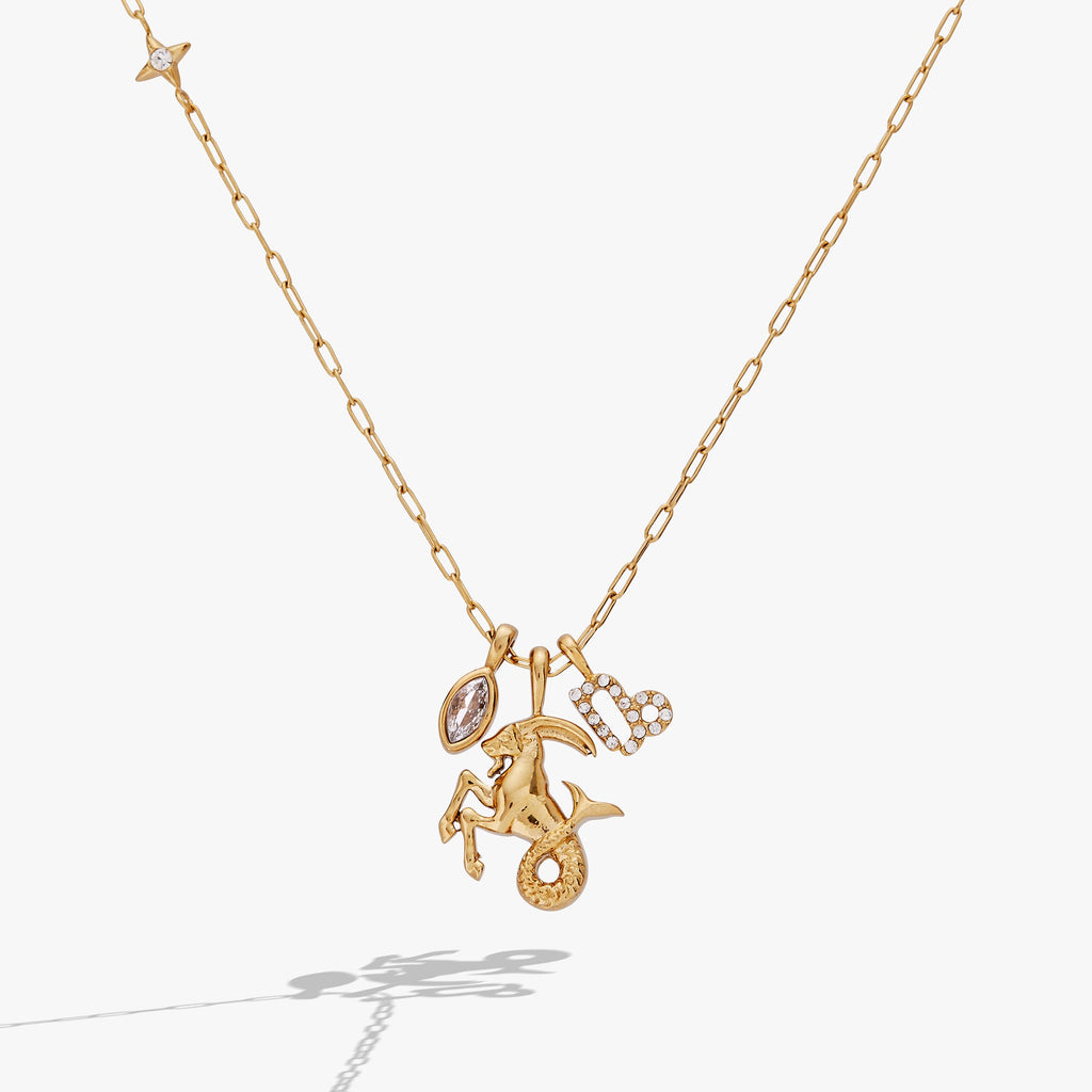 Capricorn Zodiac Charm Cluster Necklace - WONDERWALL