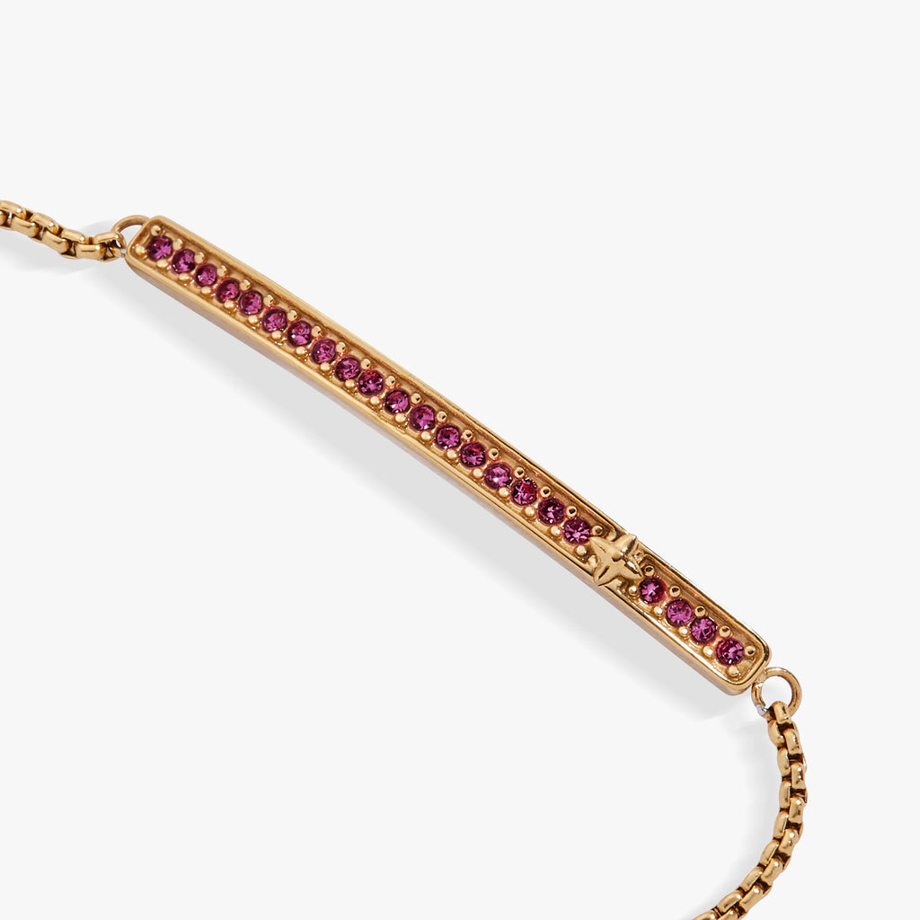 February Everyday Birthstone Pave Bolo Bracelet - WONDERWALL