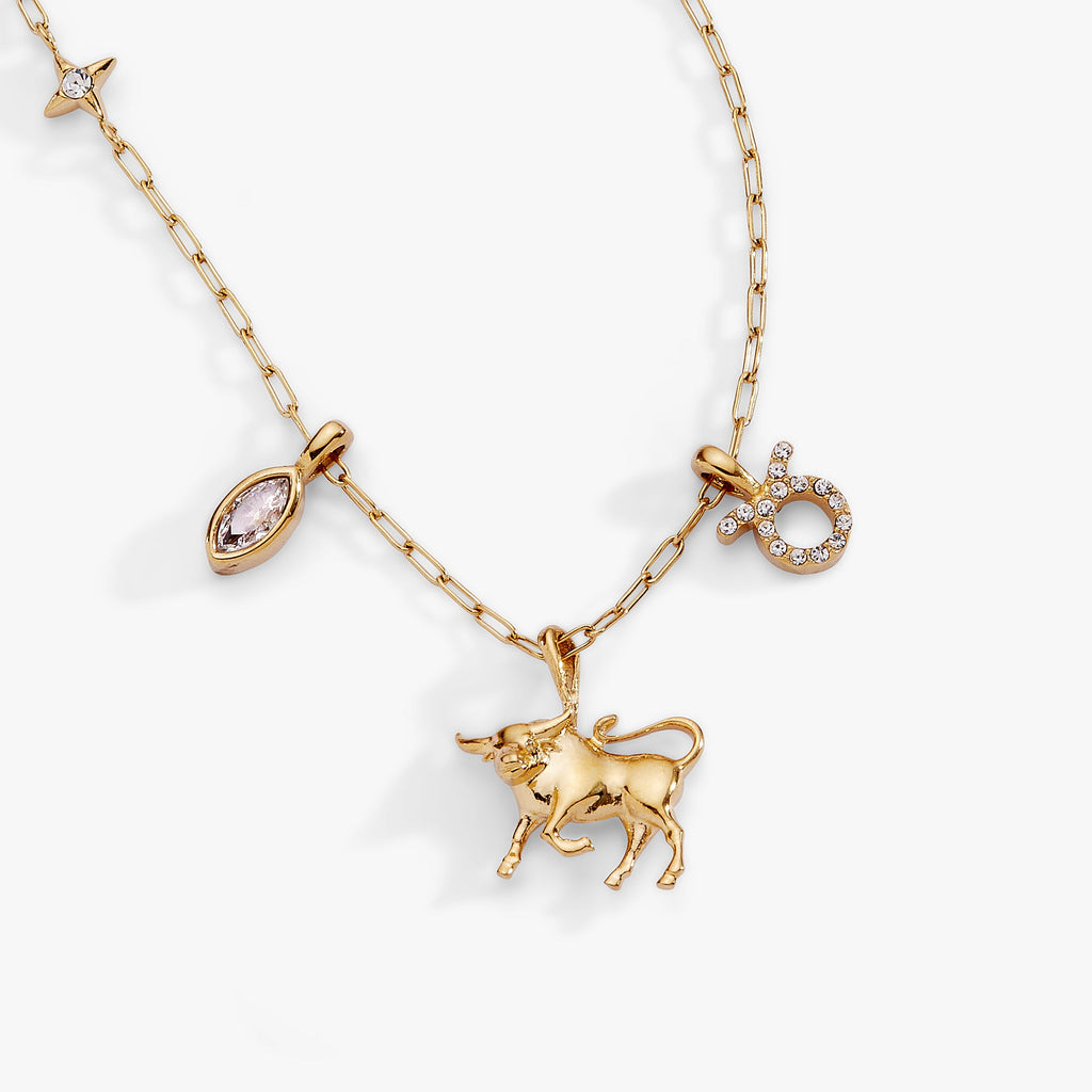 Taurus Zodiac Charm Cluster Necklace - WONDERWALL