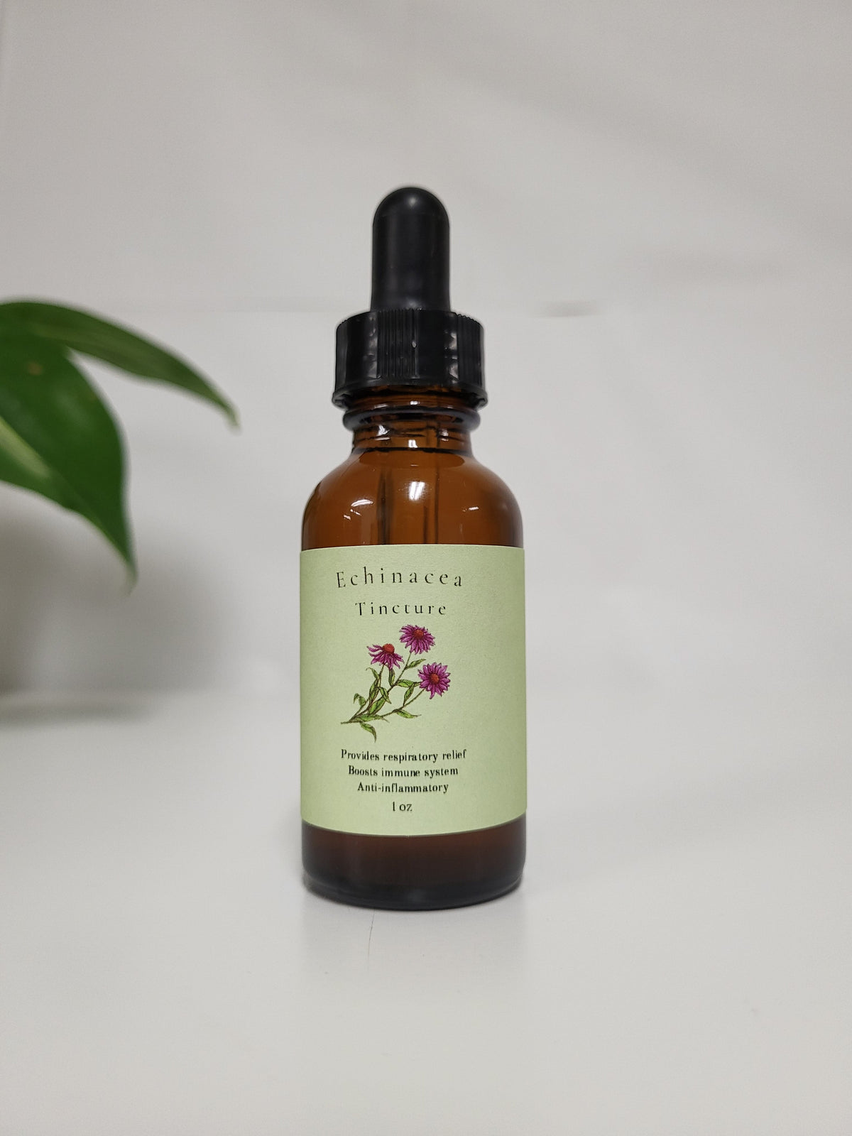 Echinacea Tincture - WONDERWALL