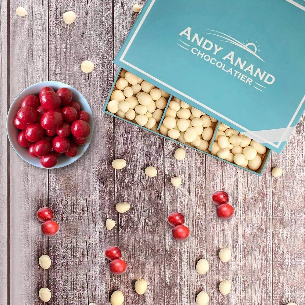 Andy Anand White Chocolate Covered California Cranberries, 1 lb – Sweet - Tart Gourmet Snack, No Preservatives, Birthday & Holiday Gift Box