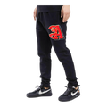 Pro Standard NBA Atlanta Hawks Mash Up Logo Men Sweatpants Black