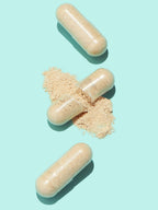 Gut Health Probiotic+ - WONDERWALL