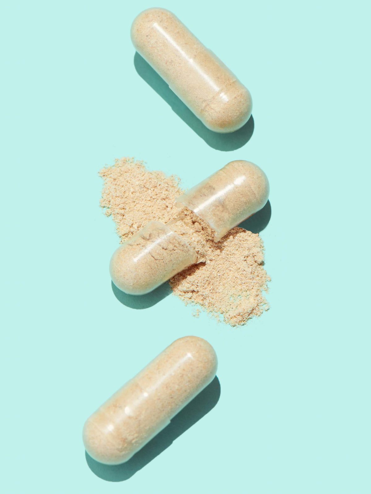 Gut Health Probiotic+ - WONDERWALL