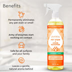 Pet Stain & Odor Remover - WONDERWALL