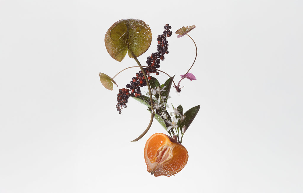 BODY FRAGRANCE- SUEDE MUSK - WONDERWALL