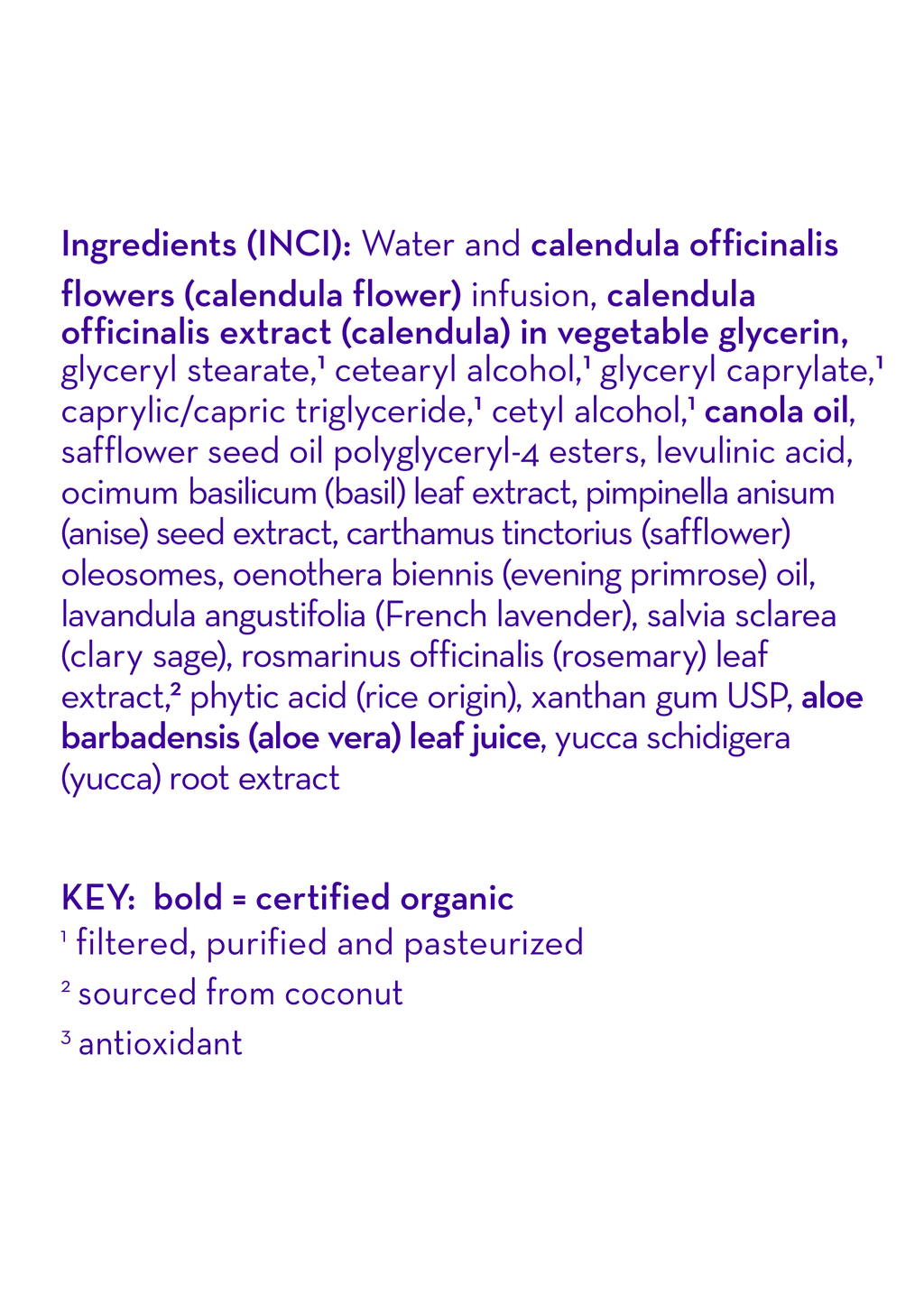 Calendula™ Everyday Lotion - WONDERWALL