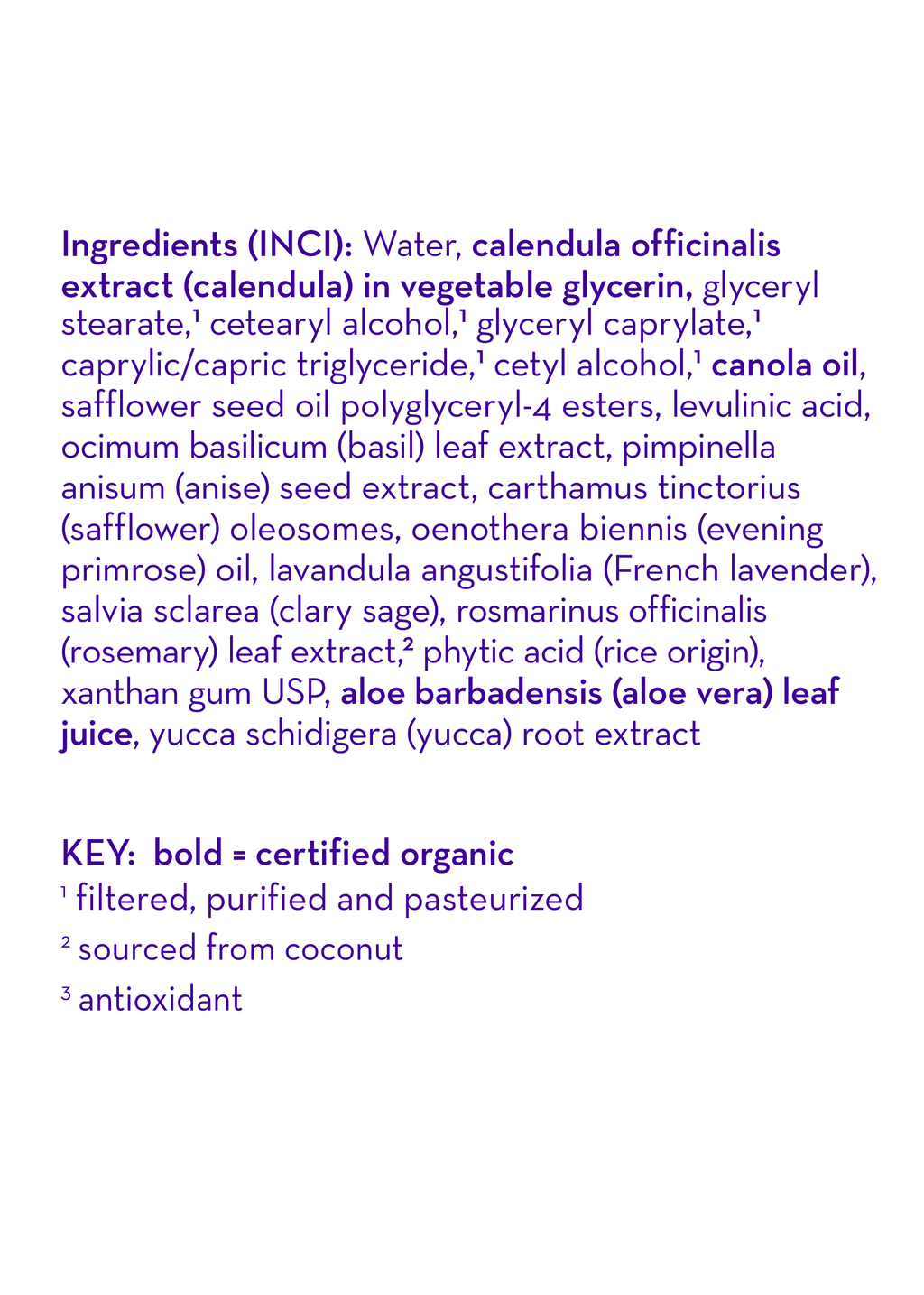 Calming™ Everyday Lotion - WONDERWALL