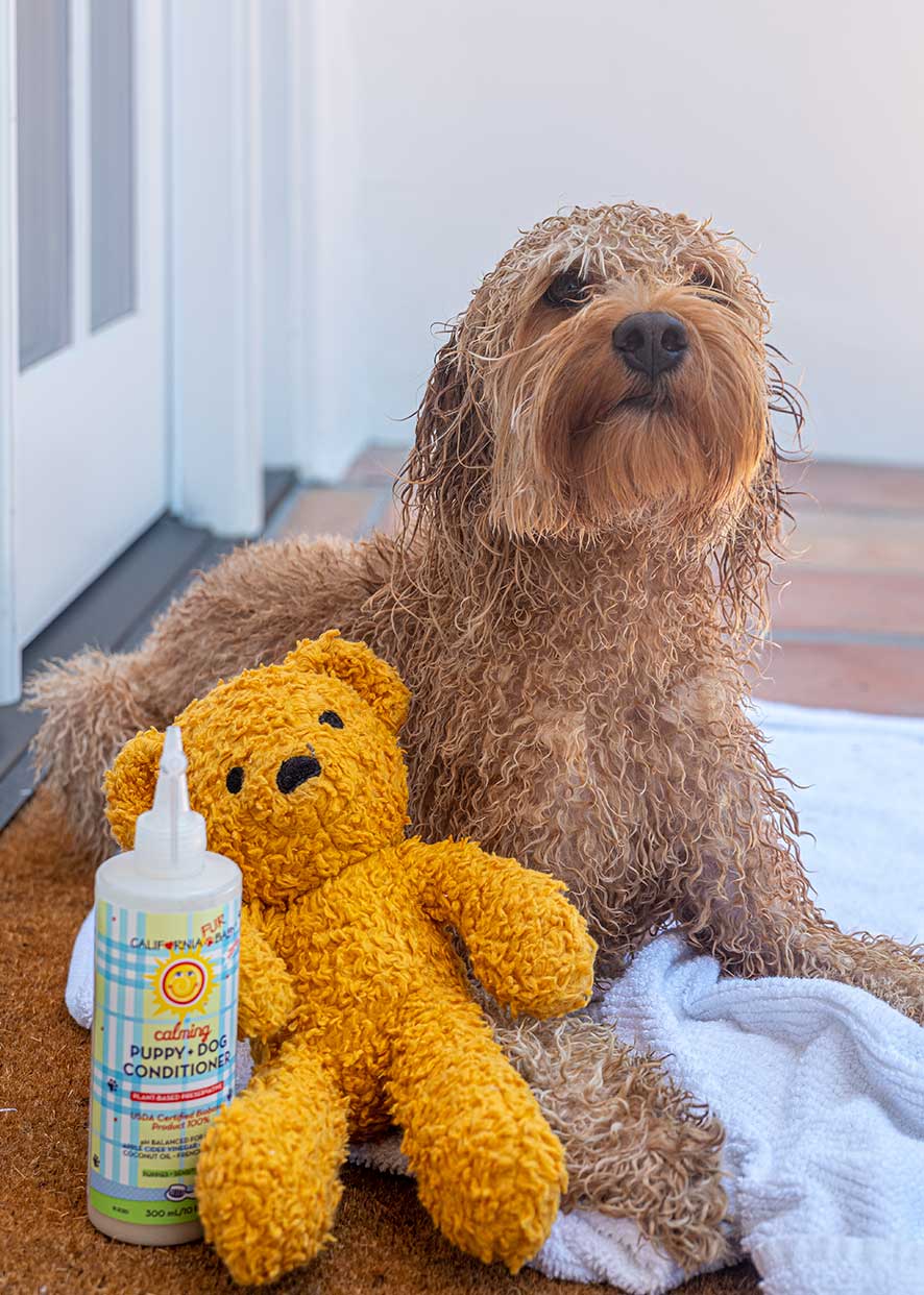 Calming™ Puppy + Dog Conditioner - WONDERWALL