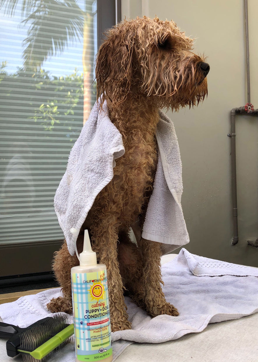 Calming™ Puppy + Dog Conditioner - WONDERWALL