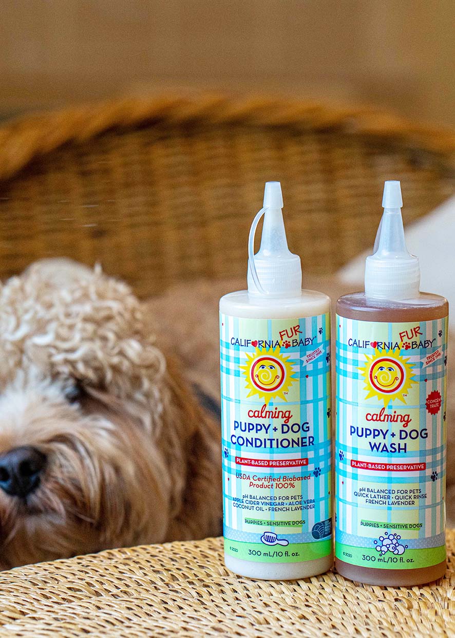 Calming™ Puppy + Dog Wash & Conditioner Set - WONDERWALL