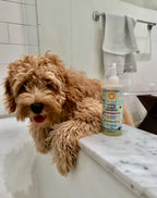 Calming™ Puppy + Dog Wash - WONDERWALL