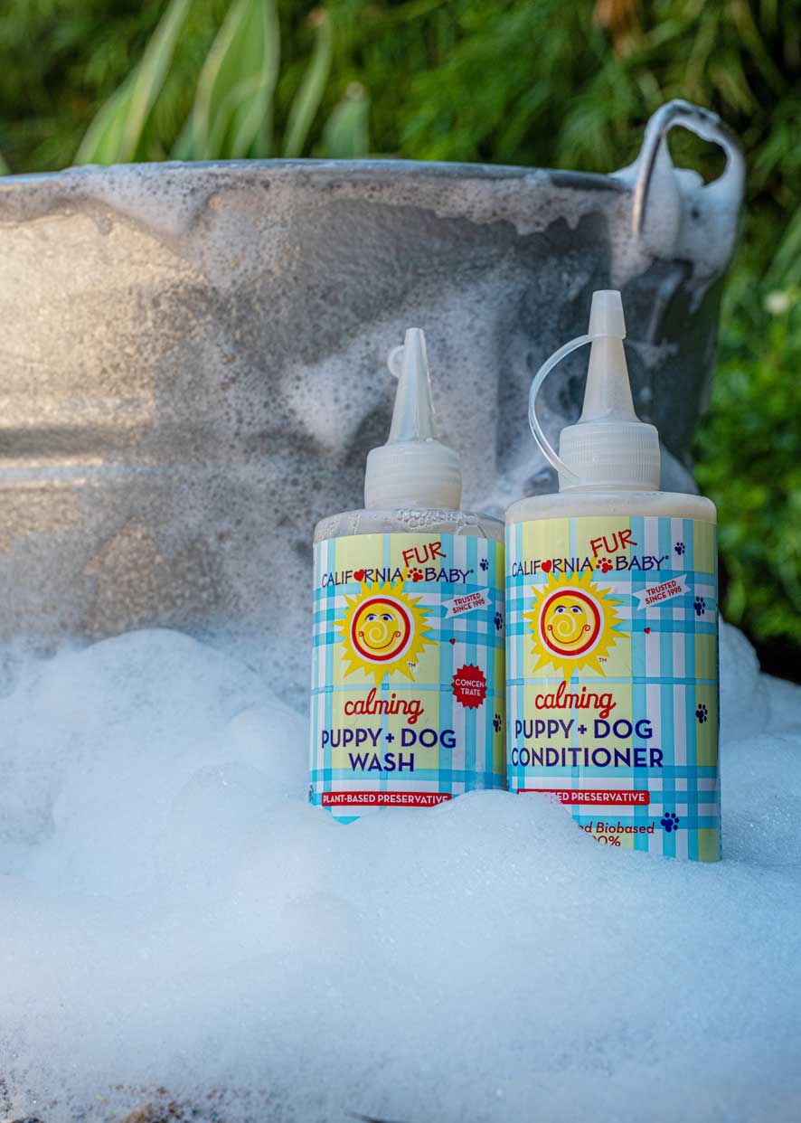 Calming™ Puppy + Dog Wash - WONDERWALL