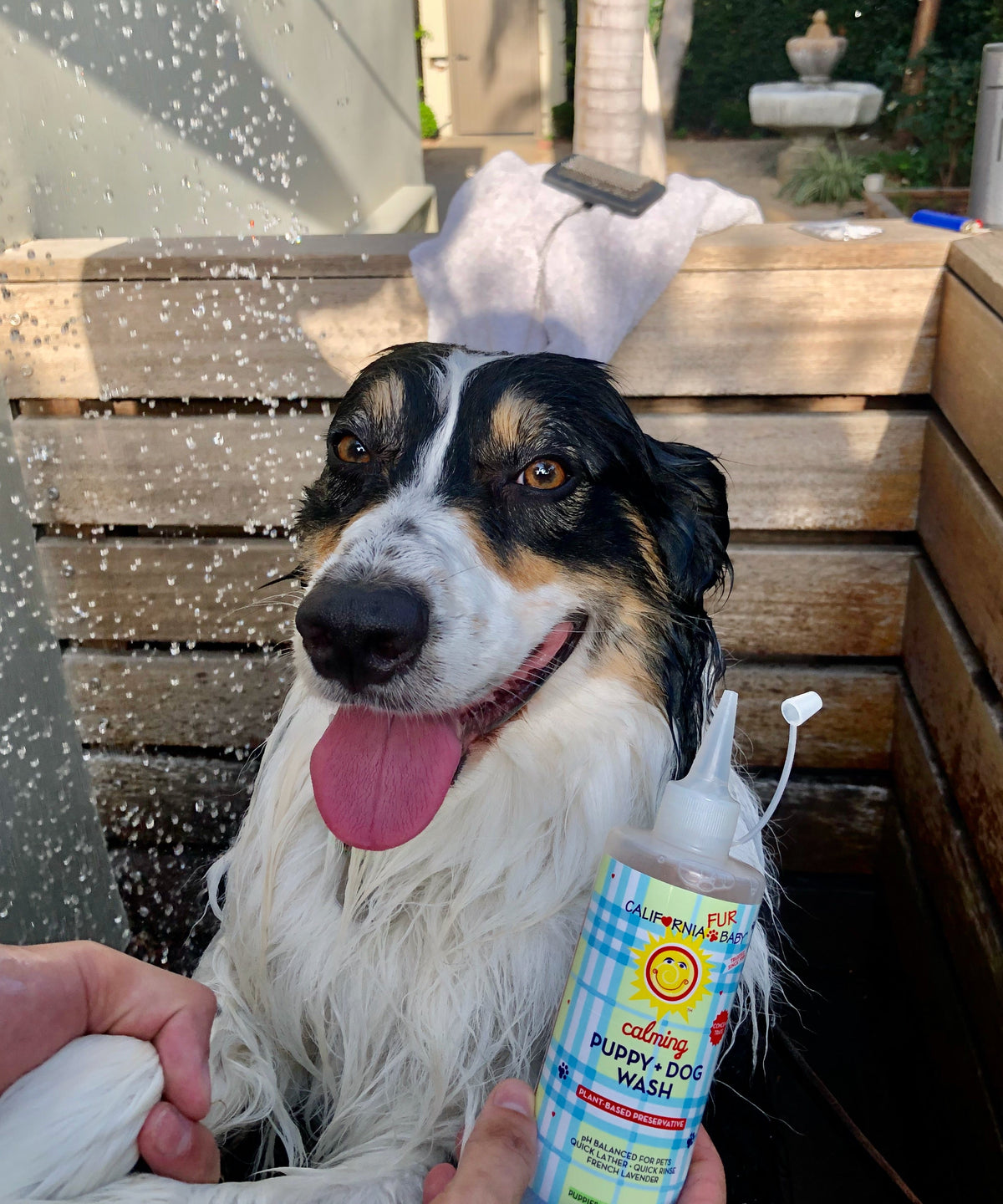 Calming™ Puppy + Dog Wash - WONDERWALL