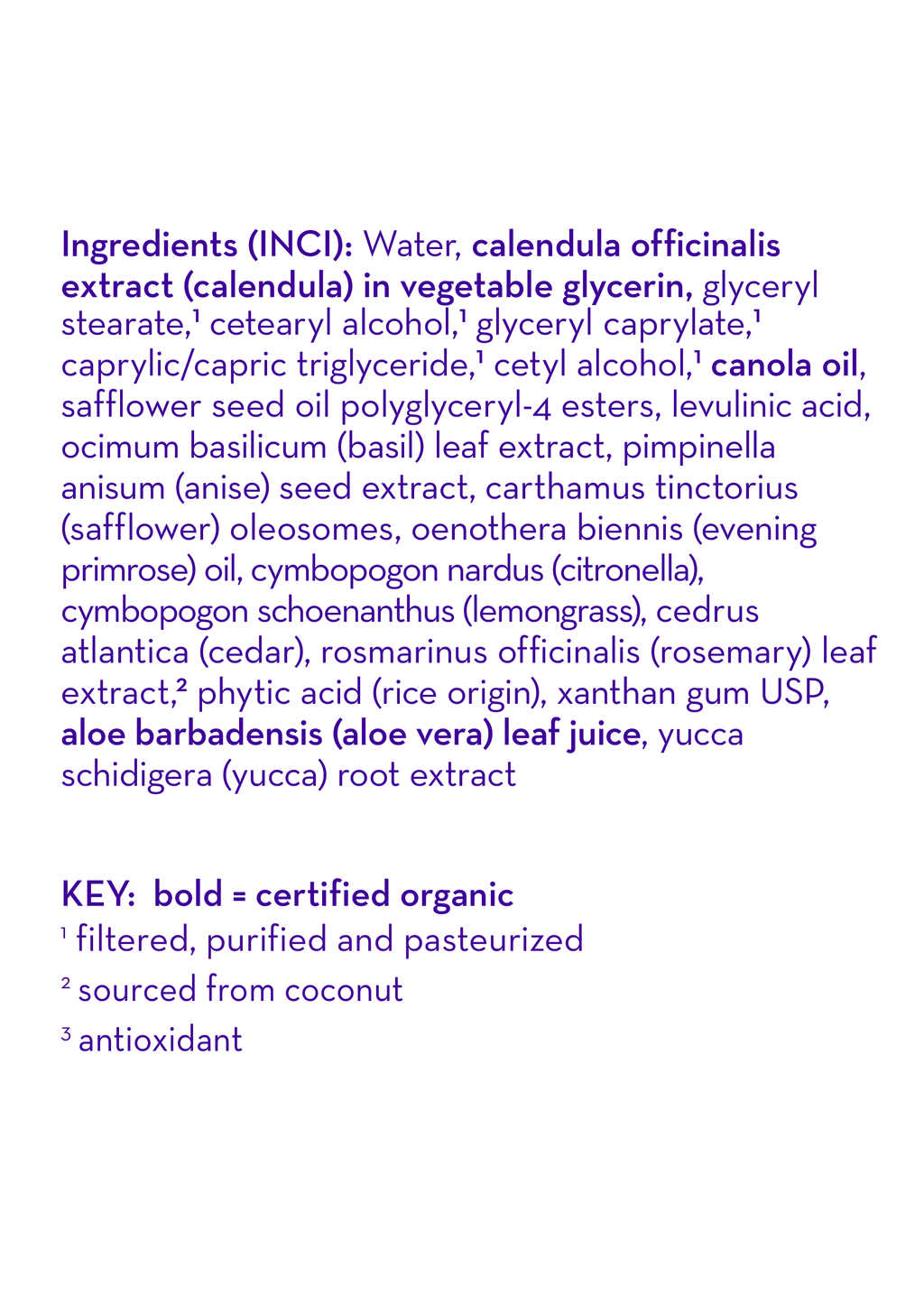 Summer Blend™ Everyday Lotion - WONDERWALL