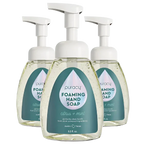 Foaming Hand Soap - WONDERWALL